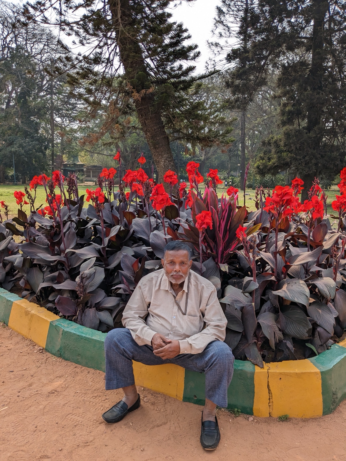 Shri Dharamnath Prasad seated in front of a bed of red flowers